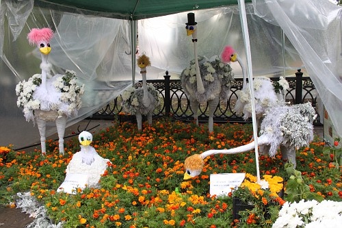 Похороны вкуса, или праздник на кладбище в Уфе
